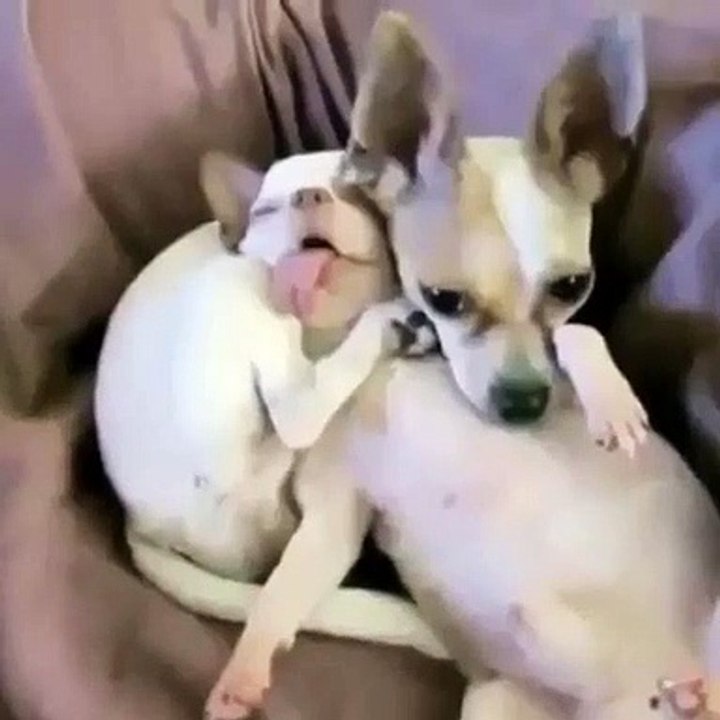 When you are taking care of your drunk friend