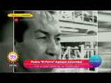 Fallece la leyenda de la lucha libre mexicana, 'El Perro' Aguayo | Sale el Sol