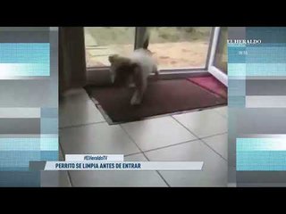 #ElHeraldoTV Primera Emisión - Trump es inseguro e inepto: Embajador británico