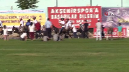 - Eşekler birinci olabilmek için yarıştı