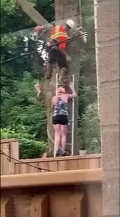 Ce bucheron fait tomber sa tronçonneuse sur une femme qui lui tient l'échelle