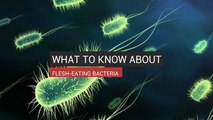 What To Know About Flesh Eating Bacteria