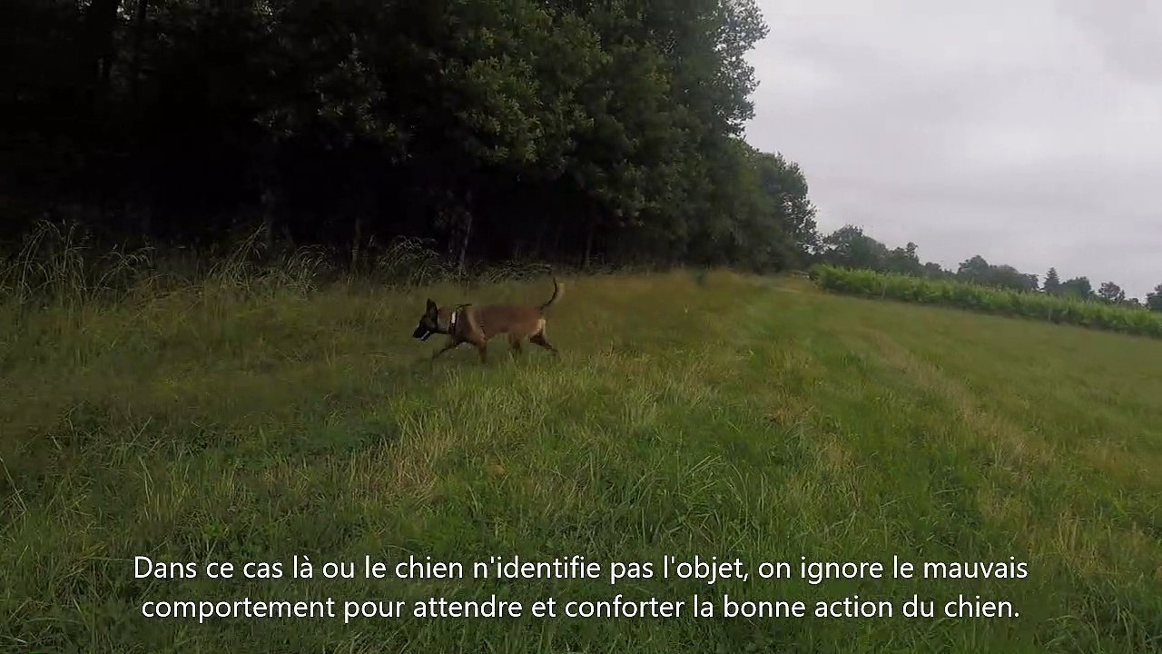 2 entrainement de oxane