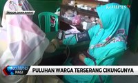 Puluhan Warga Bogor Terserang Cikungunya