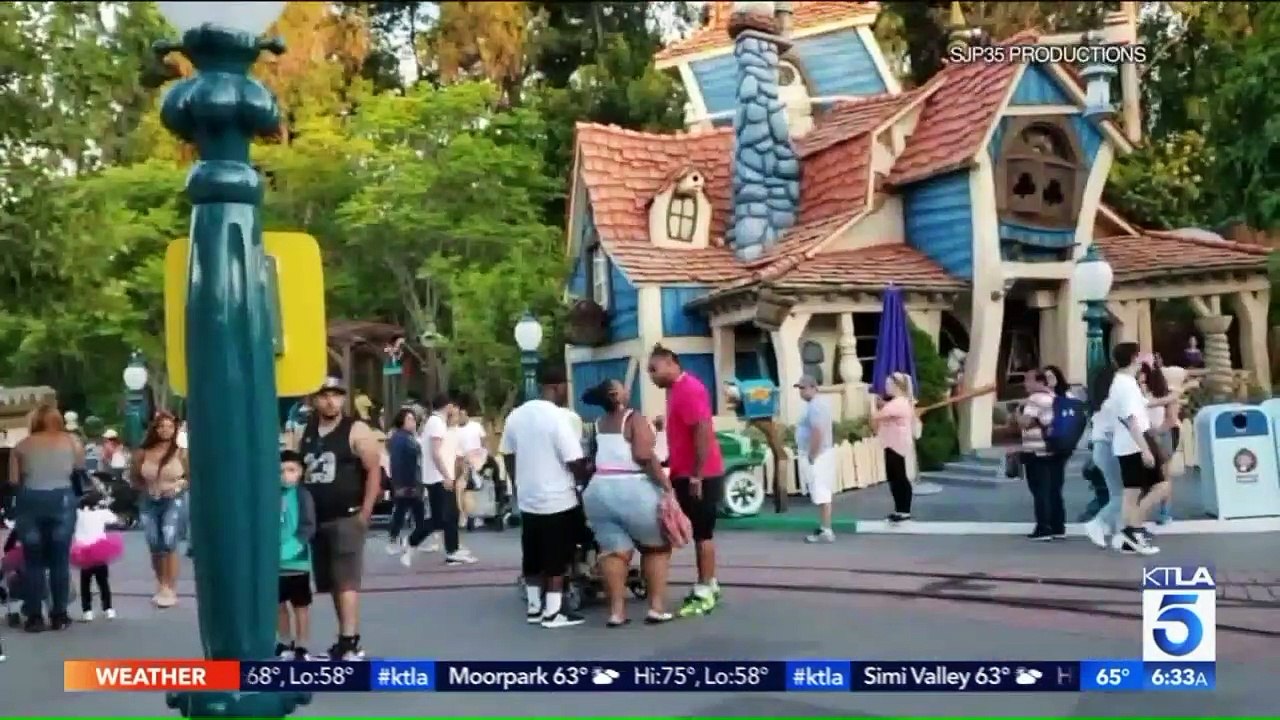 Plus d'un million de vues pour une bagarre en plein coeur du Parc Disney ce week-end (Attention images violentes)