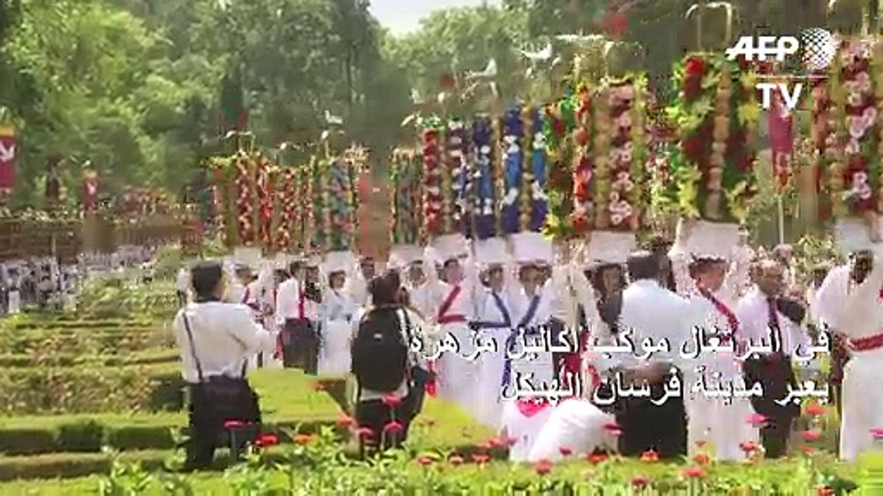 في البرتغال موكب أكاليل مزهرة يعبر مدينة فرسان الهيكل