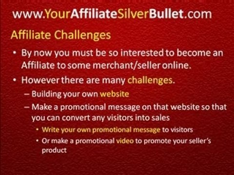 Automated affiliate website