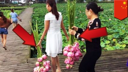 Thieving flower tourists force park to shut down for the year