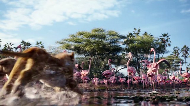 The Lion King Film - Achter de Schermen