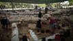 Researchers say ancient Philistine town located in Israel
