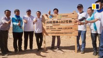 Alibaba's effort to fight desertification gains 500 million app users and counting