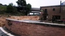 Al menos un muerto en las inundaciones provocadas por el río Cidacos en Navarra