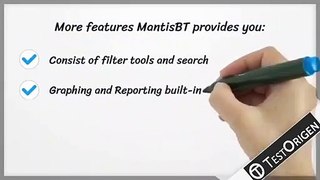 Explore Standout Features of MantisBT @ TestOrigen