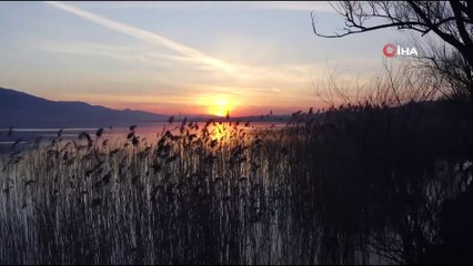 Kuş cennetinden eşsiz görüntüler...İp gibi süzülen kuşlar havadan görüntülendi