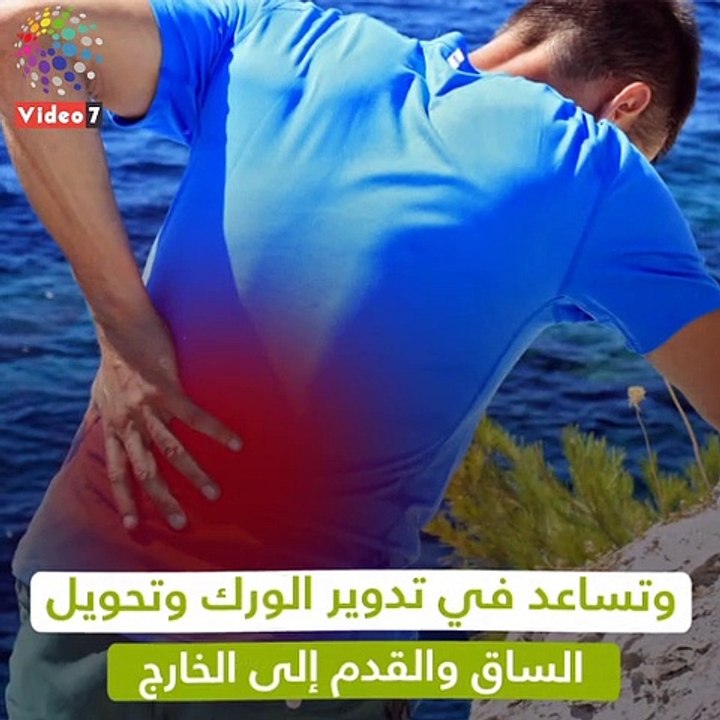 فيديو معلوماتى.. الكمثرى مش فاكهة وبس دى" عرق ا...