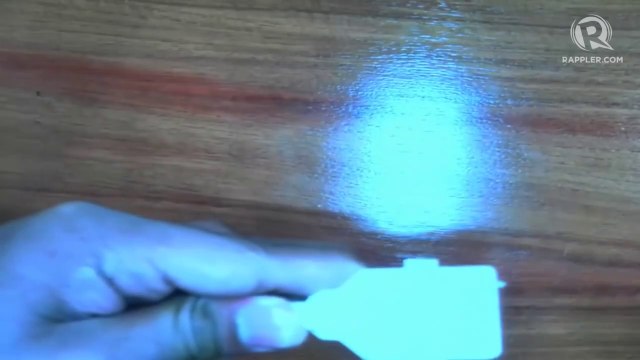 Comelec's Guanzon berates party-list lawyer for speech during canvassing