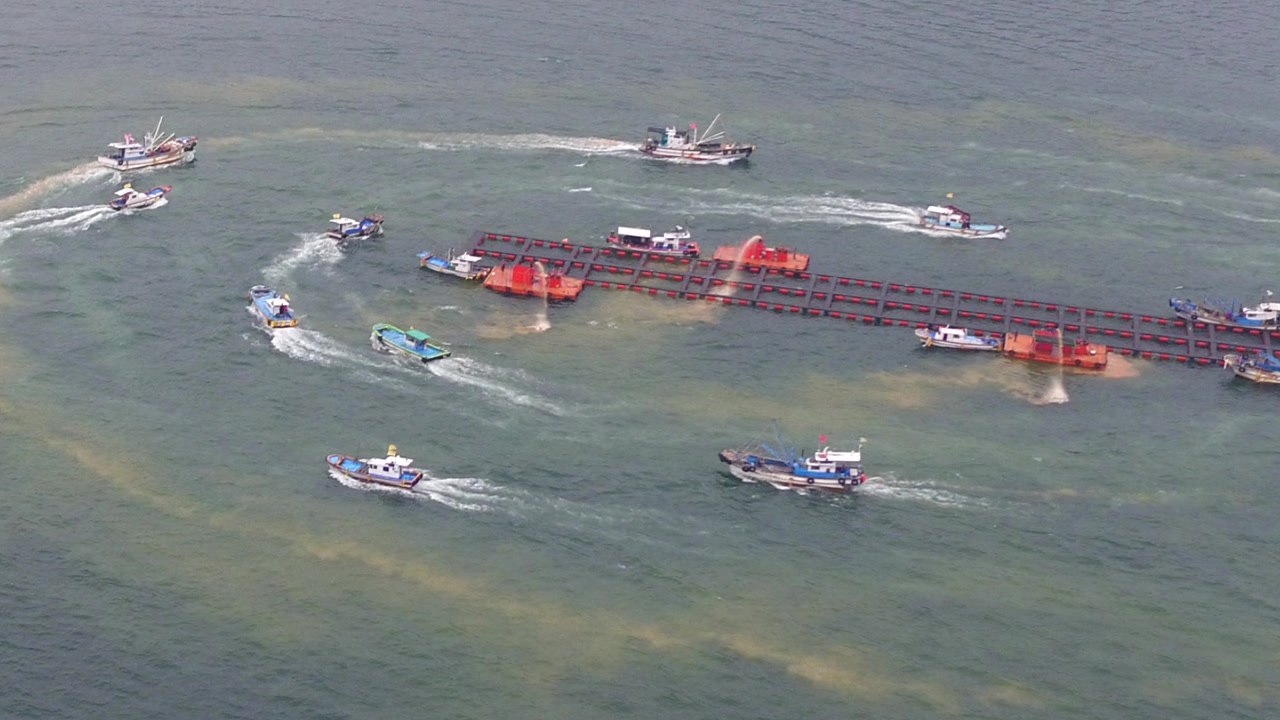 이달 중순부터 적조 우려...해경, 방제활동 강화 / YTN