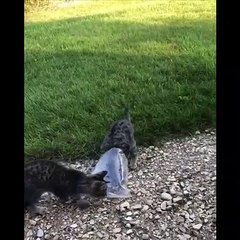 Her sorununuzda yanınızdayız