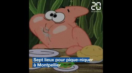 Montpellier : Sept lieux parfaits pour un pique-nique réussi