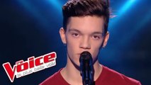 Stromae – Quand c'est | Fabian | The Voice France 2017 | Blind Audition