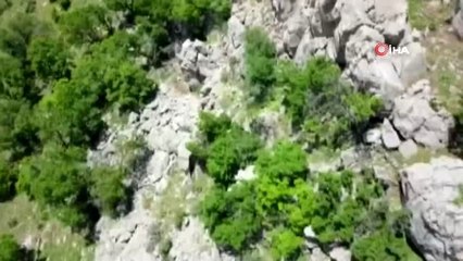 Hakkari'de hain saldırı: 2 şehit