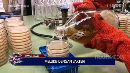 Dunia Punya Cerita - Melukis Dengan Bakteri