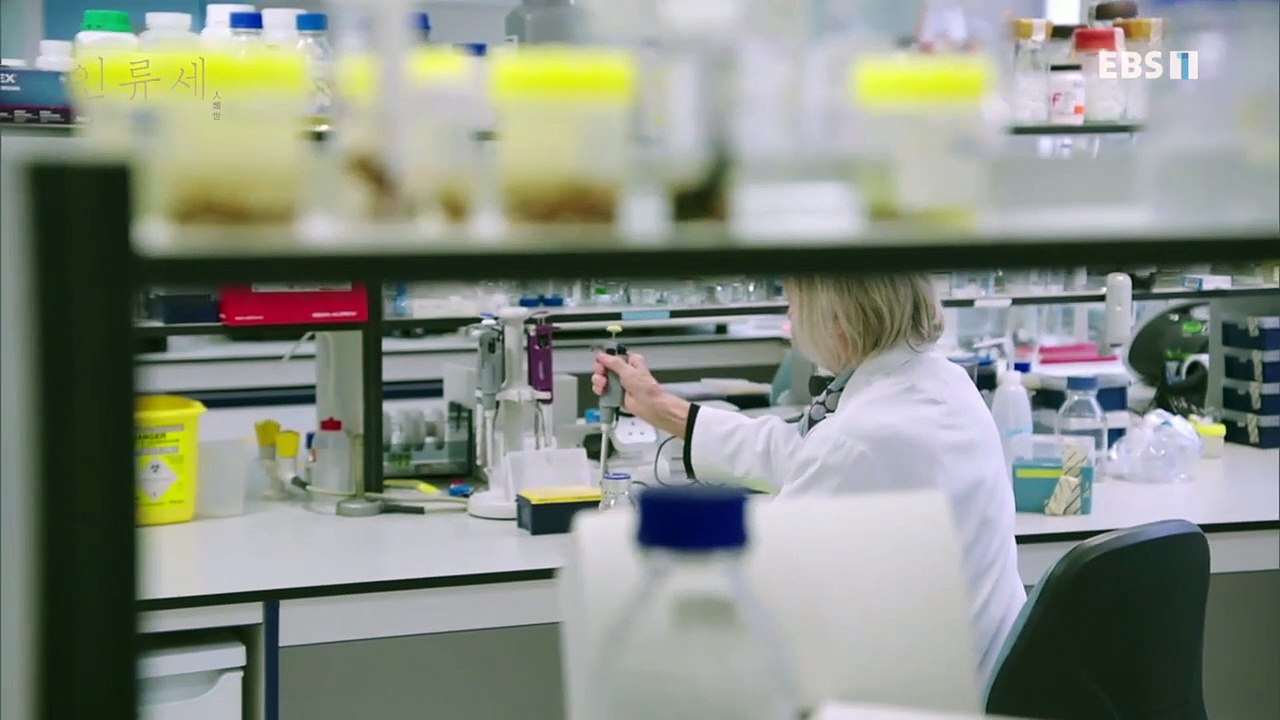 EBS 다큐프라임 - Docuprime_인류세 1부- 닭들의 행성_#002