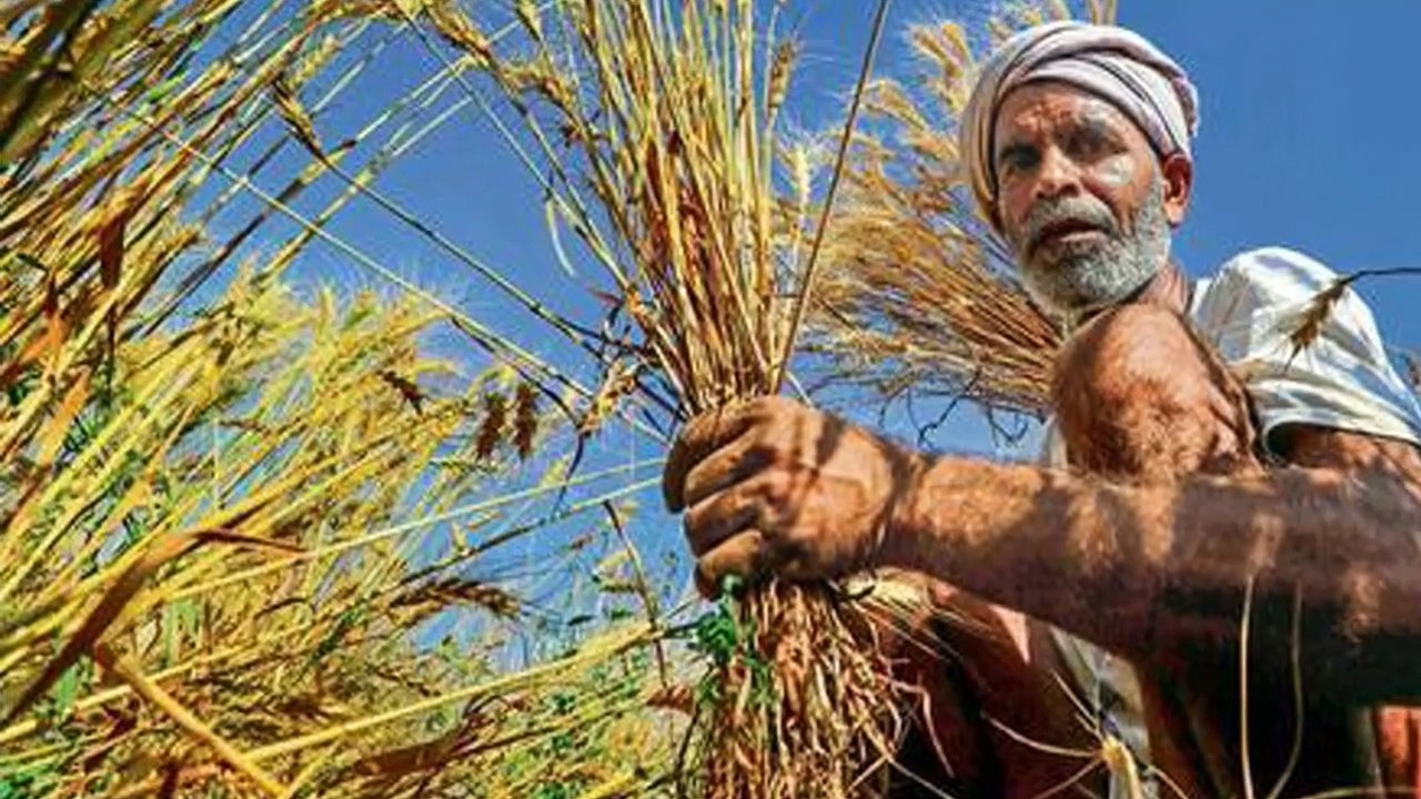 kisan or pari ki suchi kahani