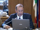 Roma - Audizioni su Piano energia e clima 2030 (09.07.19)