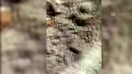 Toprak altında mahsur kalan köpeği zabıta kurtardı