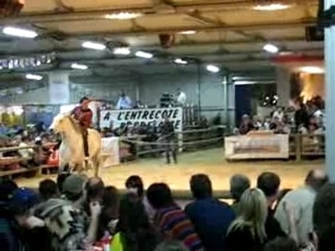 Bodegas Cheval passion Avignon