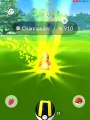 CHARMANDER IV 100 MAX CP 910 LIV 35