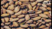 Vaucluse: La culture de la pistache, «adaptée au réchauffement climatique», relancée en France