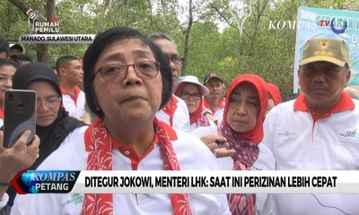 Ditegur Jokowi, Menteri LHK: Saat Ini Perizinan Lebih Cepat