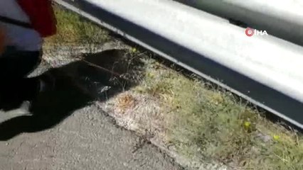 Yol kenarında 1,5 kilo ağırlığında ziynet eşyası bulan işsiz genç polisi aradı