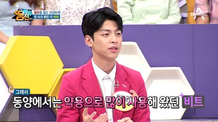 혈관 건강에 도움을 주는 '땅 속의 붉은 피' 비트 속 [베타인]과 [질산염]