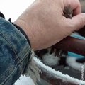 Un homme sauve de la neige un oiseau figé sur un poteau en métal. Acte Héroïque !
