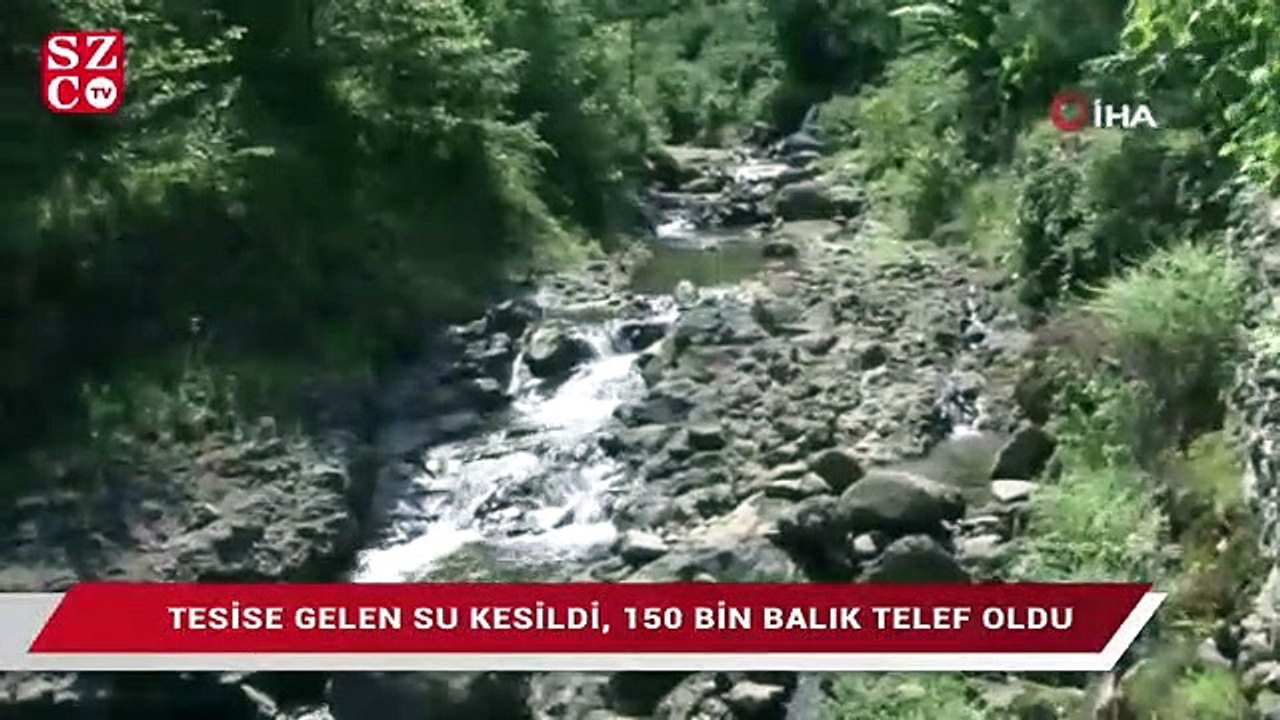 150 bin balık telef oldu