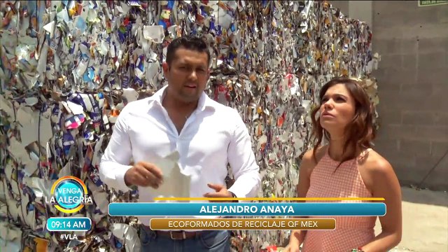 ¡¡Checa estas casas construidas con material totalmente reciclado! | Venga La Alegría