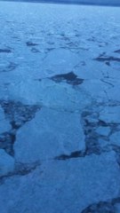 Going across the Atlantic ocean from Newfoundland to Sydney Nove Scotia