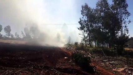 Download Video: Fogo em vegetação fica alto e assusta moradores no Bairro Morumbi