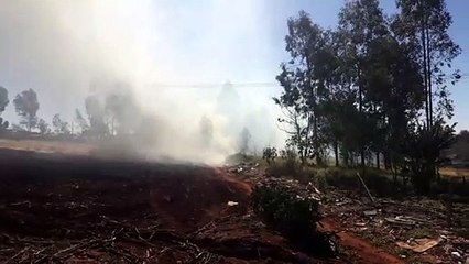 Fogo em vegetação fica alto e assusta moradores no Bairro Morumbi