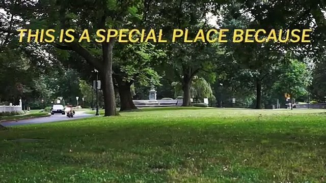 Sarah McBride Announces Campaign For Delaware State Senate