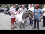 Mblidhen militantët e parë të PD, zbuloni mbështetësin e veçantë të Bashës në protestë