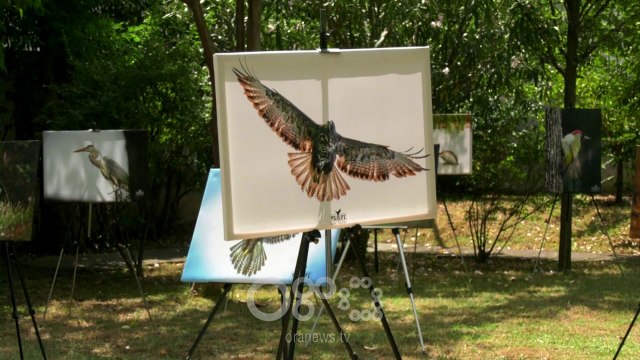 RTV Ora - Ambasada e Kosovës çel ekspozitë për promovimin e faunës shqiptare