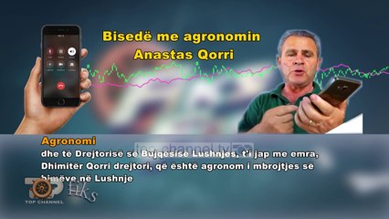 Zbulohet skandali me farën e domates, të skaduara e me virus!-Top Channel Albania - News - Lajme