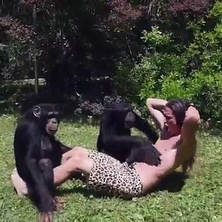 Ces singes aident leur maître à avoir des abdos. Trop marrant !