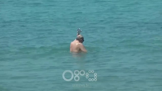RTV Ora - Infarkt në plazh, vdes 76-vjeçari në Tale, viktima e 9 e sezonit