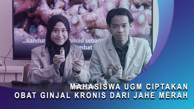 Mahasiswa UGM Ciptakan Obat Ginjal Kronis Dari Jahe Merah