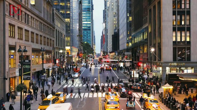 NYC Bans Food and Beverages Containing CBD